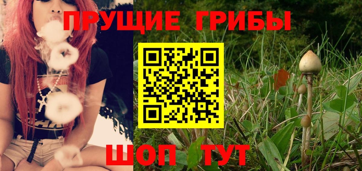 Галлюциногенные грибы MAGIC MUSHROOMS  Вход с VPN  хочу наркоту  Великий Новгород  Псилоцибиновые грибы GOLDEN TEACHER 