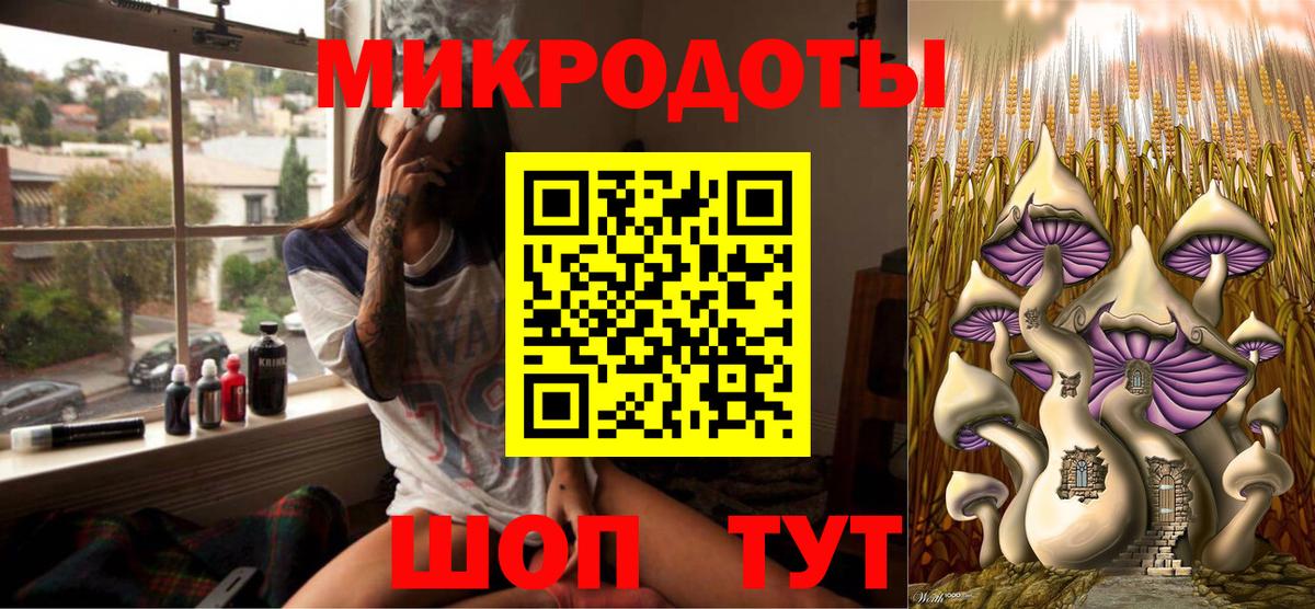 Псилоцибиновые грибы Cubensis Великий Новгород